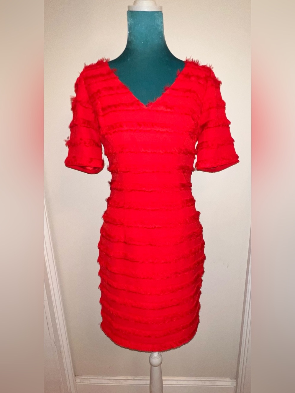 Badgley Mischka Fringe Sheath Dress. New. Size: 0
Retail: $189. Asking: $98.